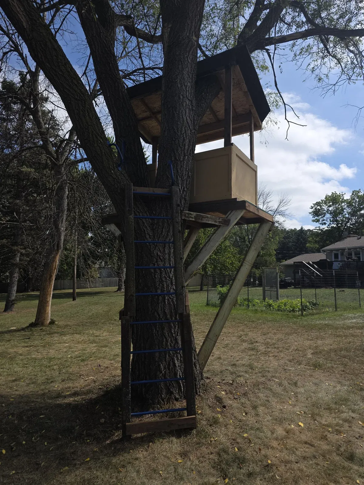 Side view of a tree fort with a climbing ladder up the tree trunk leading to the platform and roofed shelter.